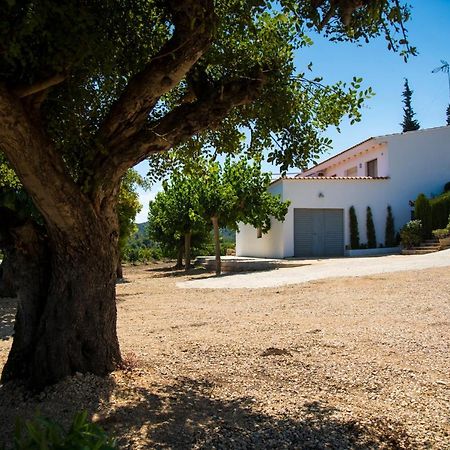Villa La Casa del Monte Les Cases d'Alcanar Exterior foto